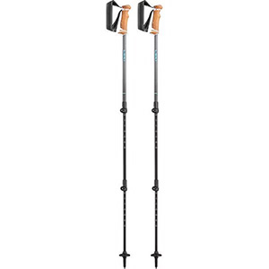 ラサ トレッキングポール 100 グレー 100cm 2本セット 1300489