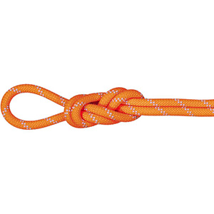 Alpine Dry Rope 9.5mm 60m 2010-04220